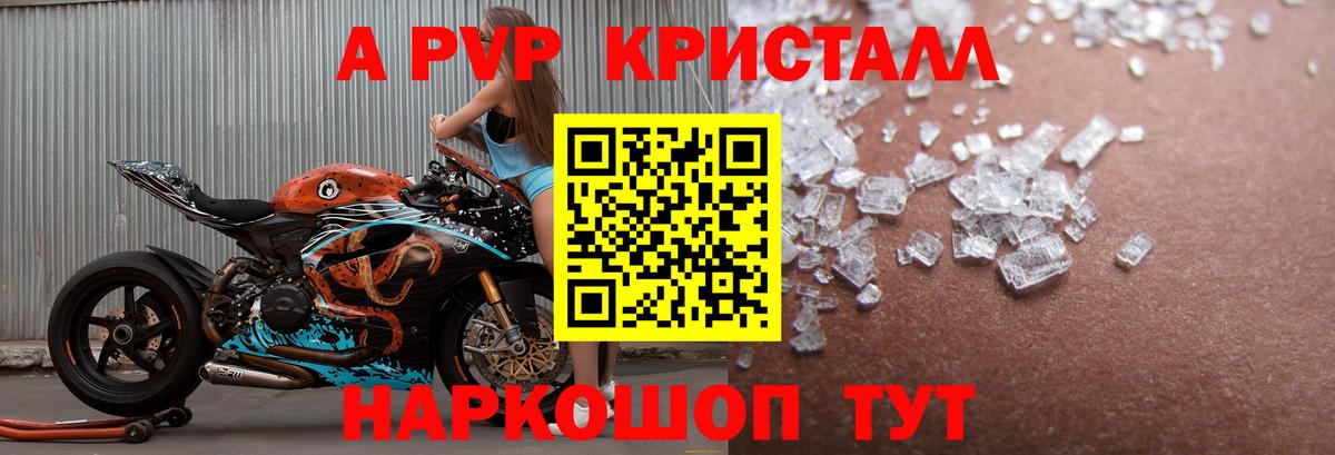 APVP СК КРИС Пугачёв