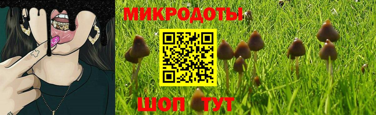 Пугачёв  Галлюциногенные грибы мицелий  Вход с VPN  Псилоцибиновые грибы ЛСД 